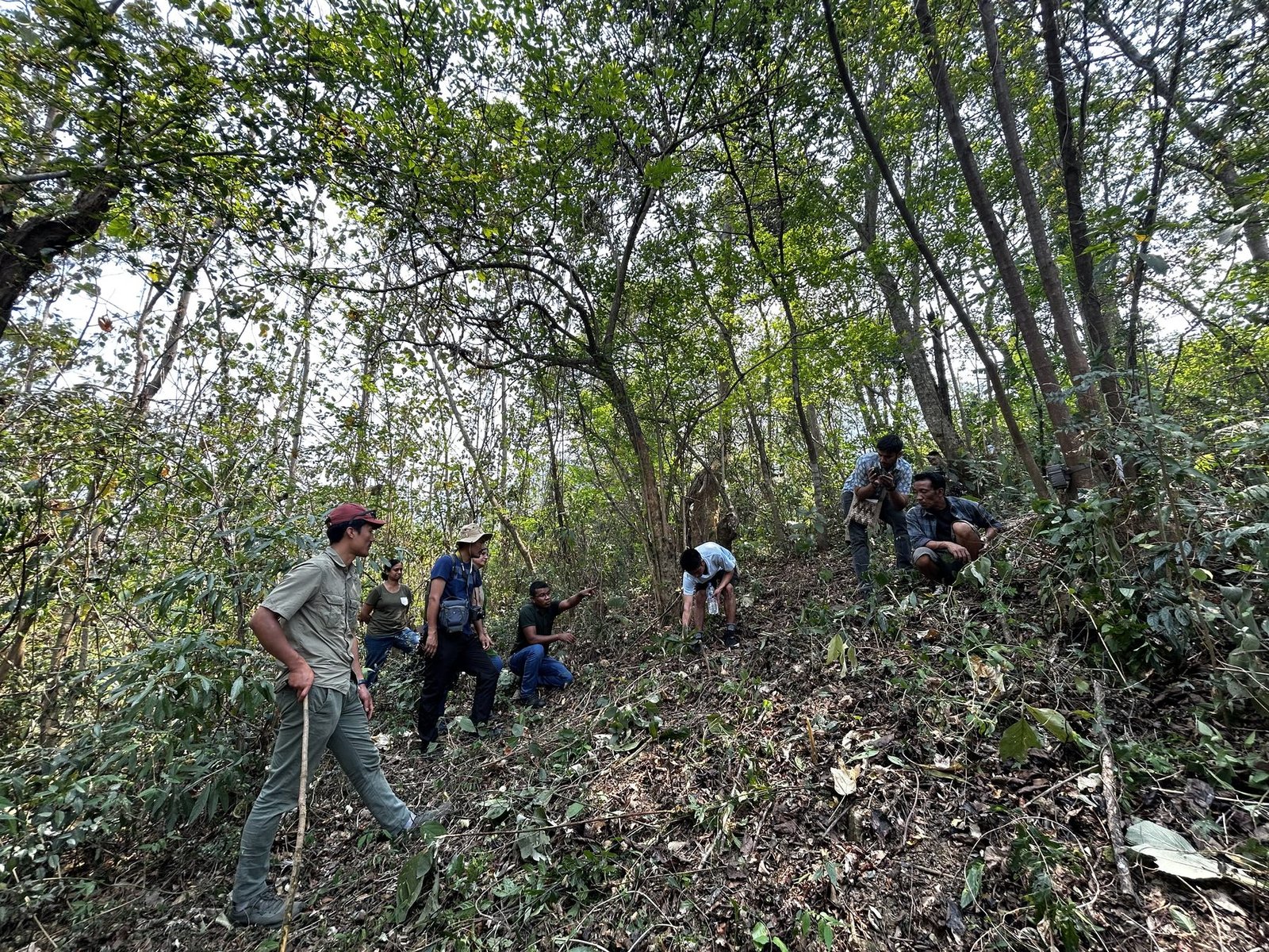 A team placing and checking a camera trap on a forested slope