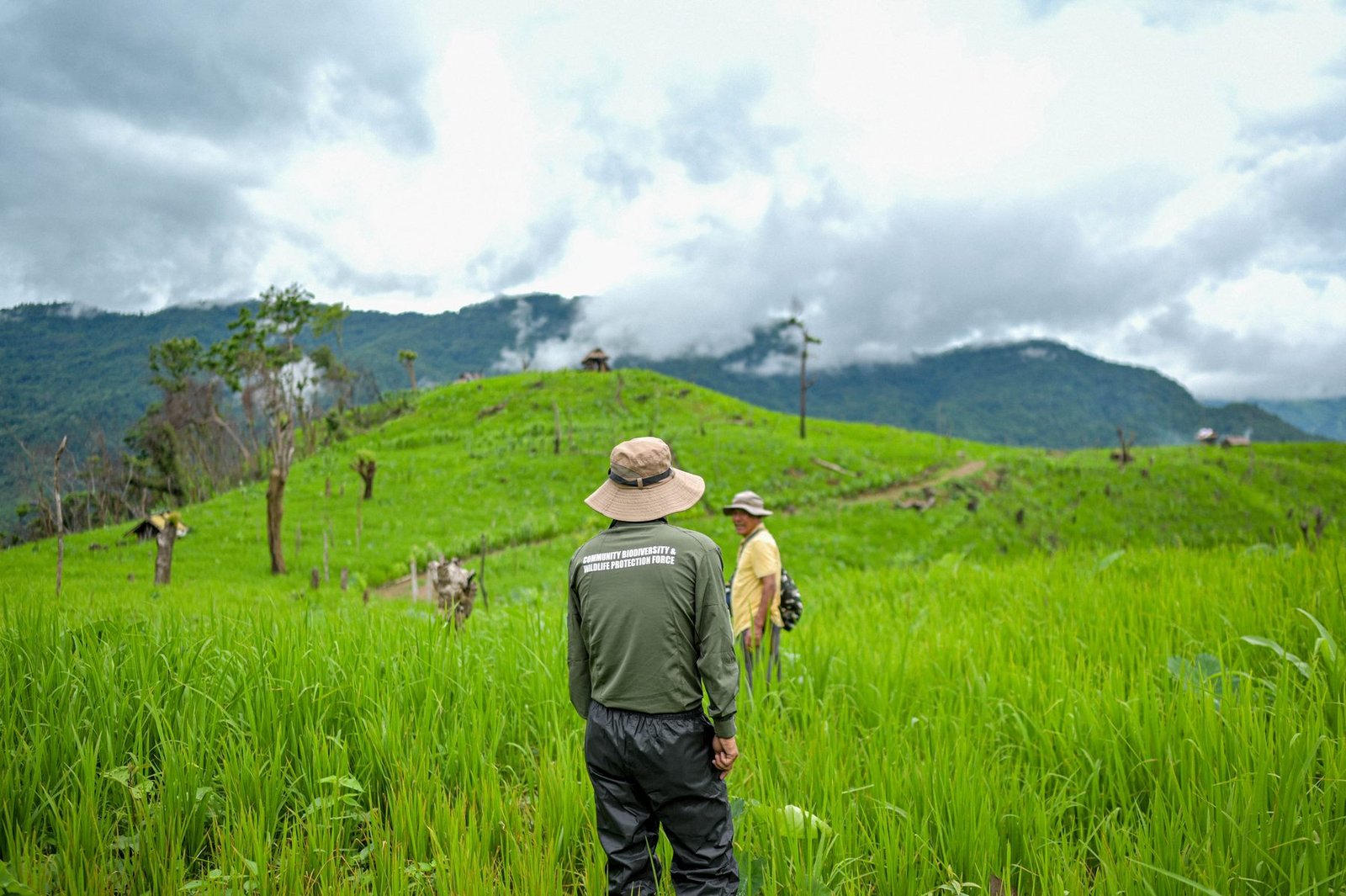 A member of a community biodiversity and wildlife protection force standing in a paddy field below forested hills