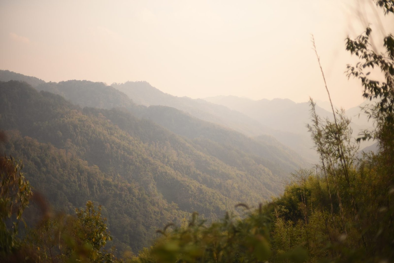 Layered forested ridges in evening haze