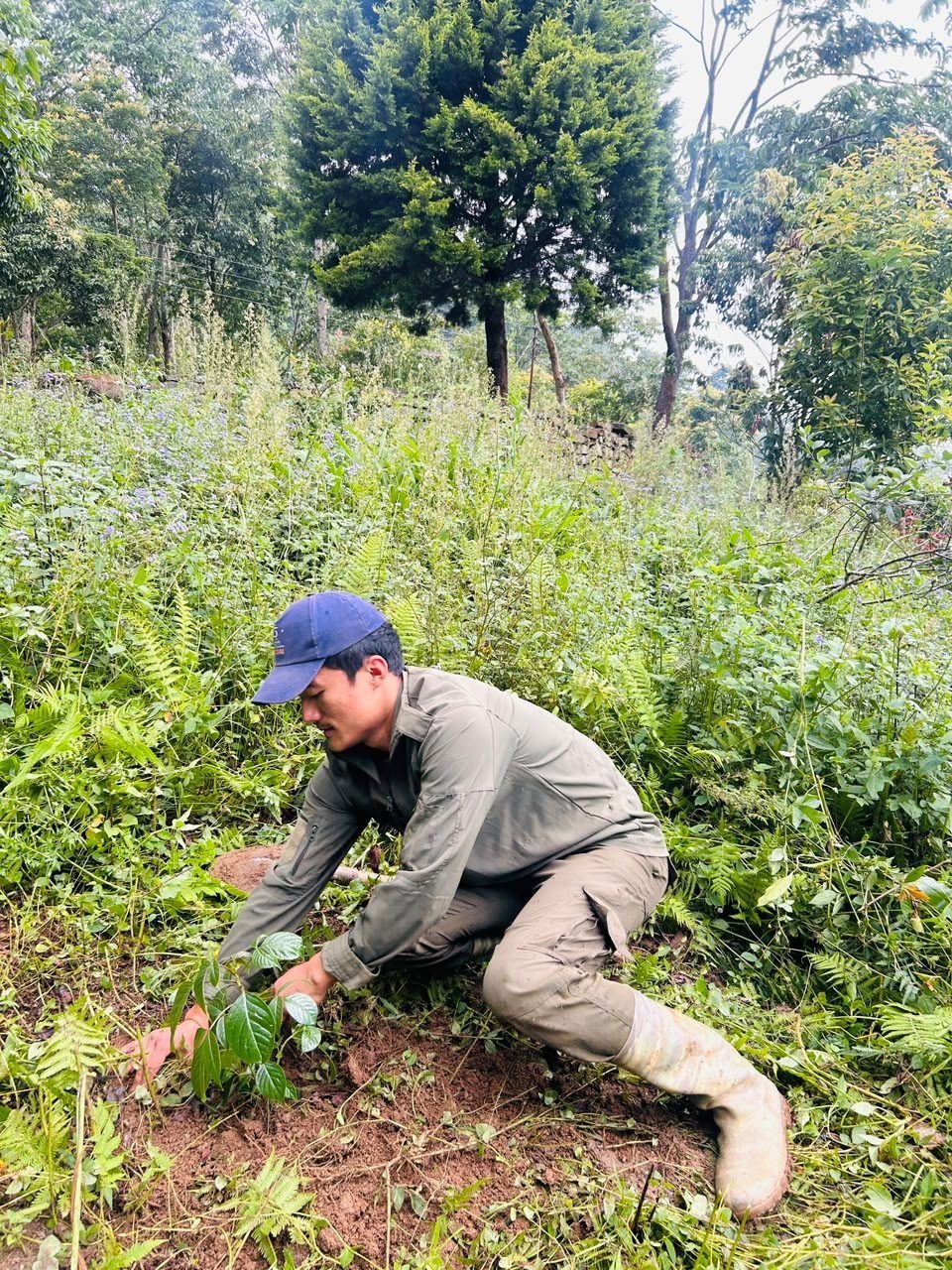 A community member planting a seedling on a forested slope