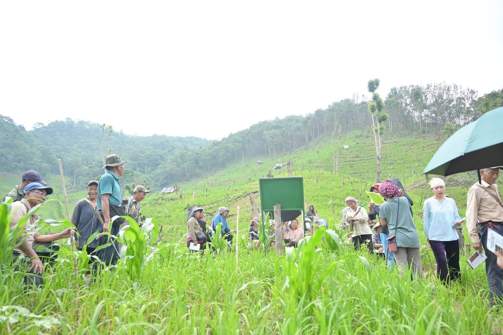 Community meeting on a cleared hillside