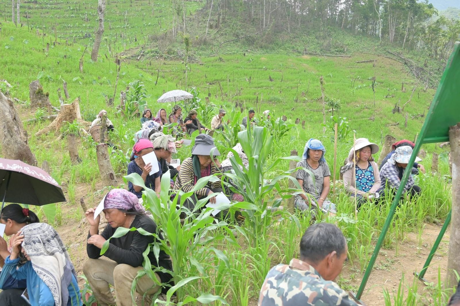 Community members gathered on a hillside for a consultation