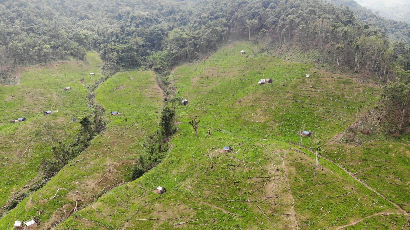 Aerial view of jhum parcels on hill slopes