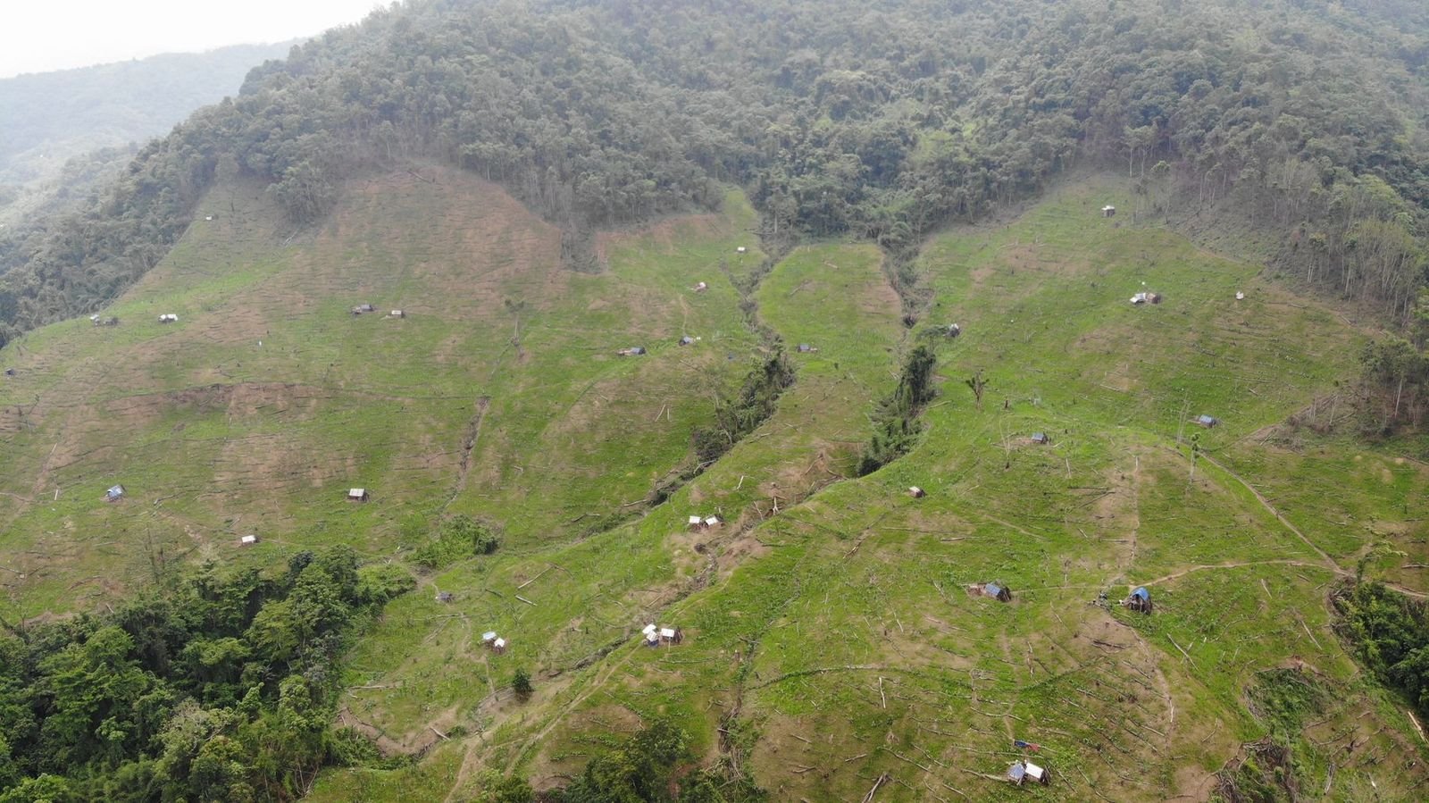 Aerial view of cleared slopes and forest on the hills of Tseminyu