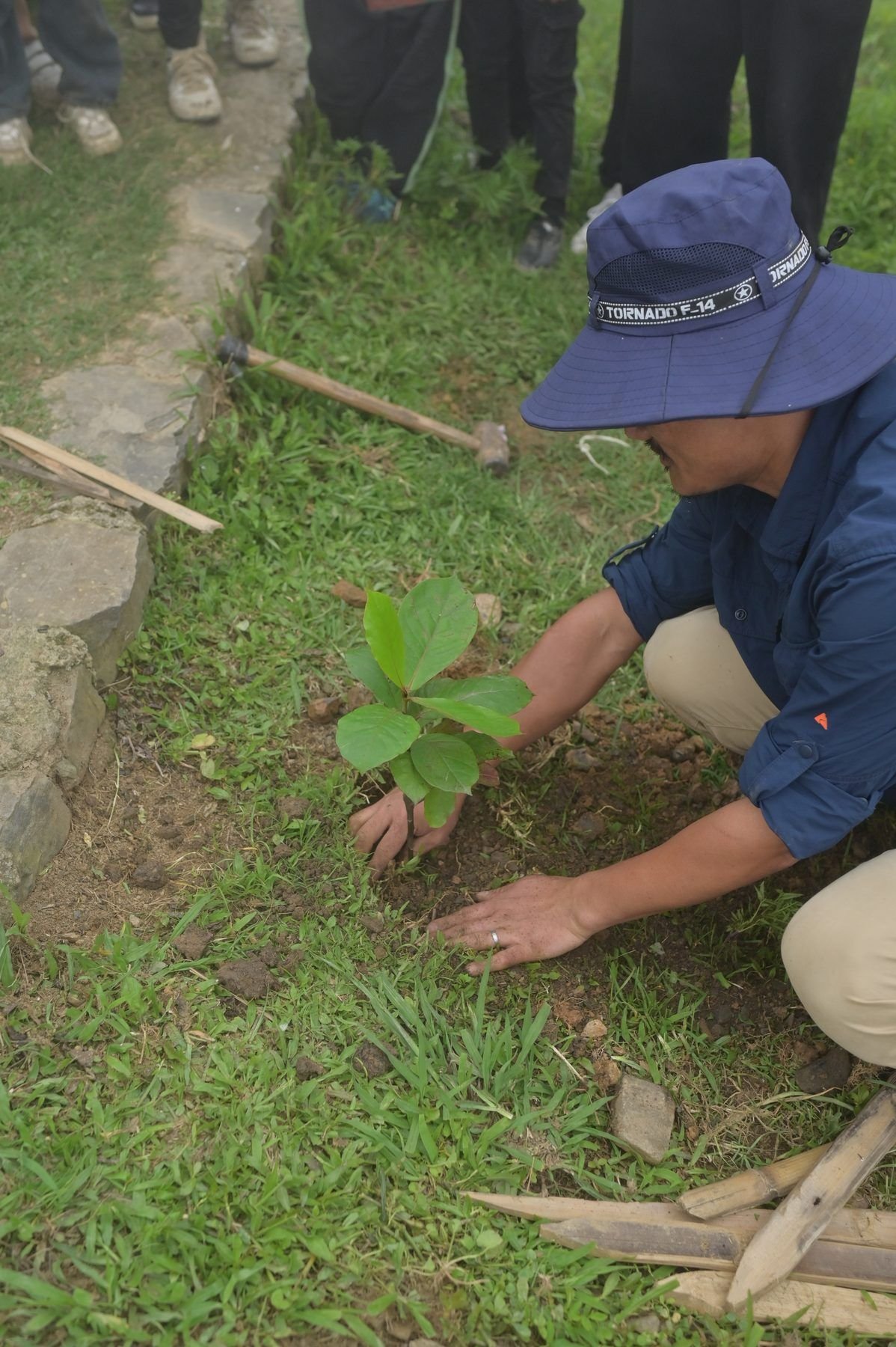 Planting a seedling on a slope, close up