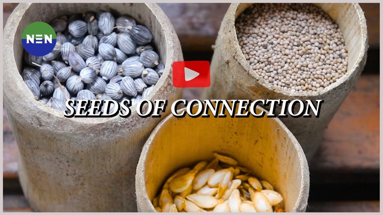 Bamboo containers of seed: still from Seeds of Connection by North East Network