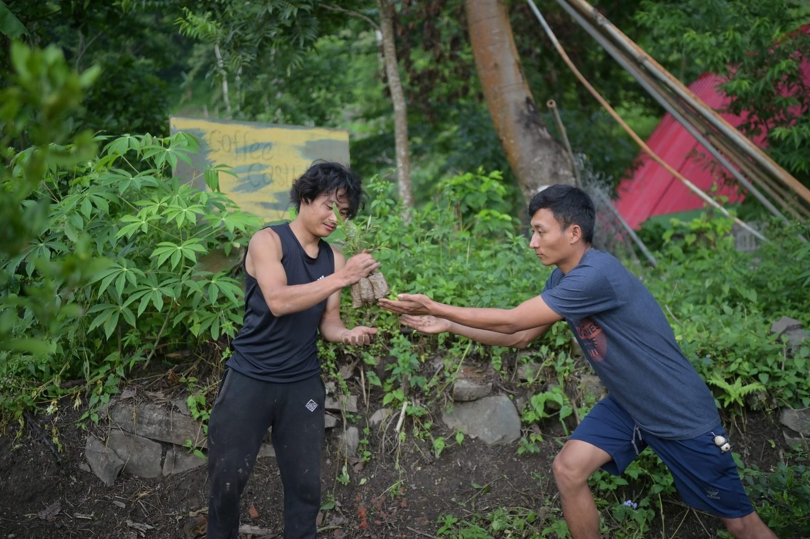 Two young men passing a seedling hand to hand on a slope