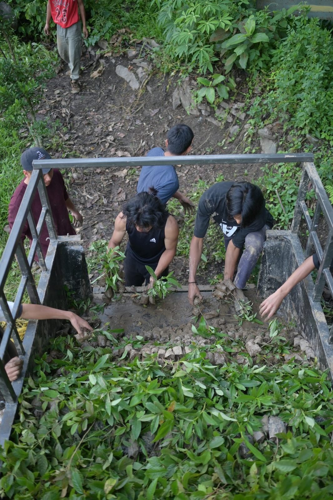 Young people passing seedlings down a flight of steps beside a nursery