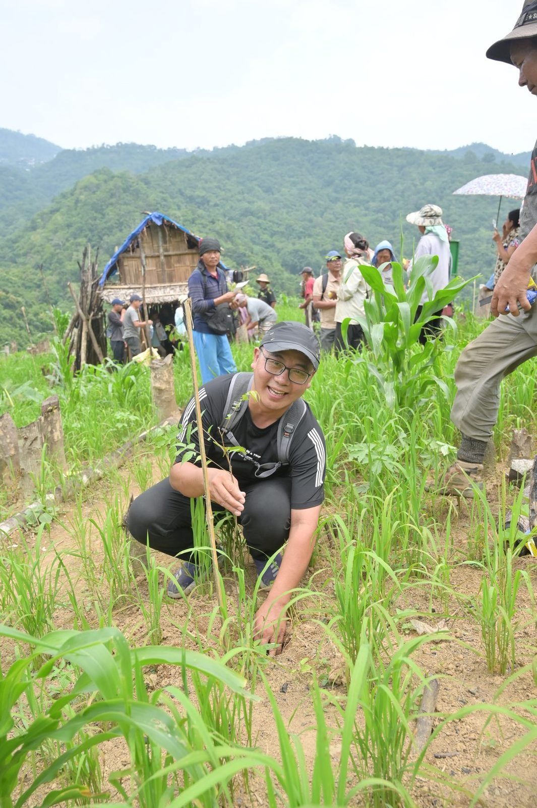 Villagers and young people planting across a cleared slope