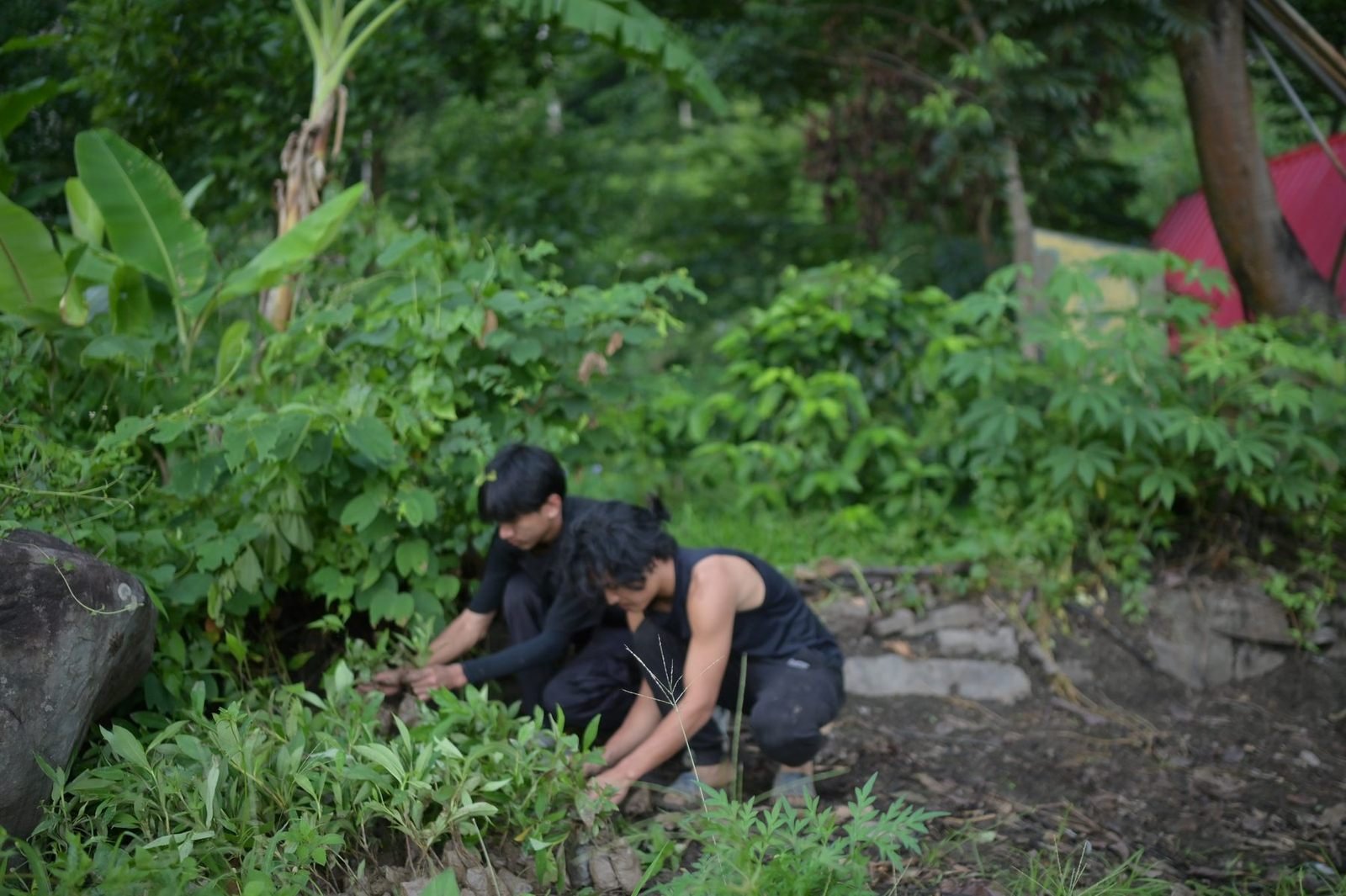 Two young people planting seedlings along a bank
